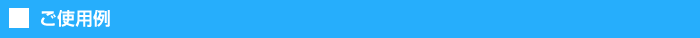 ご使用例